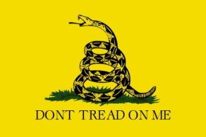 http://www.movimentolibertario.com/wp-content/uploads/2011/08/dont_tread_on_me1-300x199.jpg